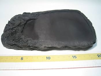 Amazon.co.jp: 稀少 ヴィンテージ 美品端渓硯 鳳凰/瑞雲 彫刻 馬